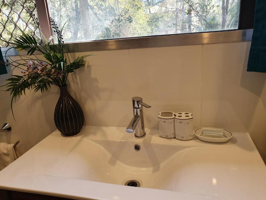 Bagno di Gowrie Agapanthus