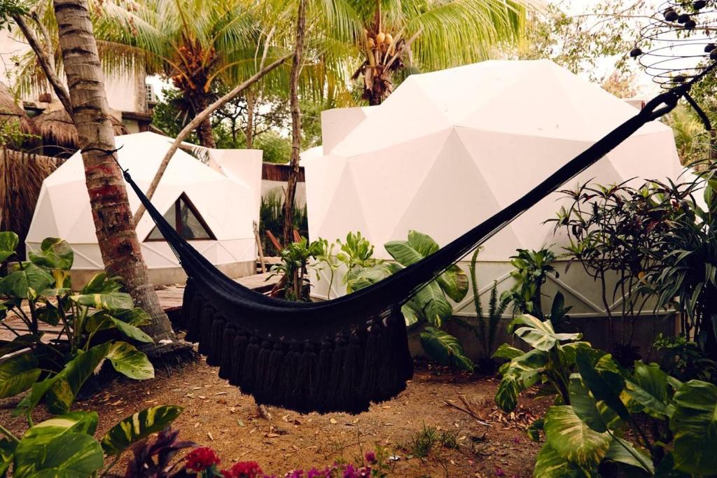 a hammock hanging from a tree in a garden at Frequency in Holbox Island