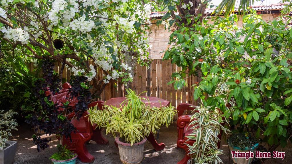 Zahrada ubytování Triangle Home Stay