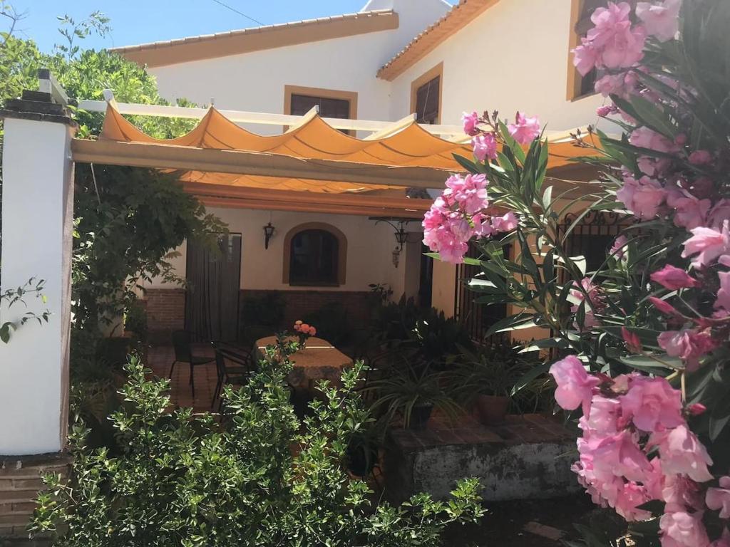Paredejas del Rey, Priego de Córdoba – Updated 2023 Prices