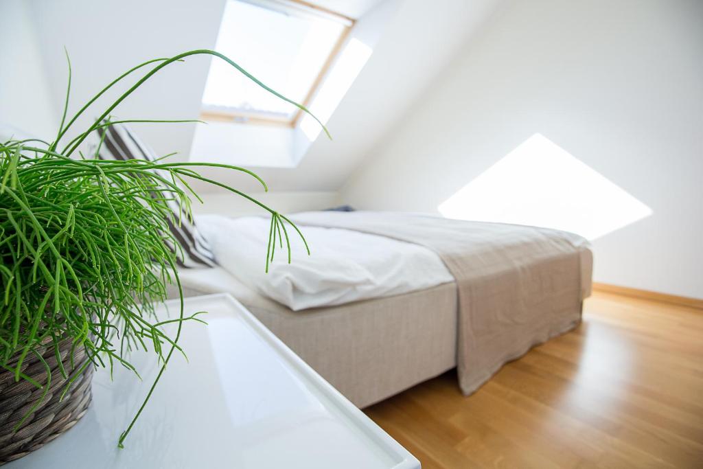 Vilnius Apartments & Suites – Old Town - One-Bedroom Apartment - Mėsinių G. 3