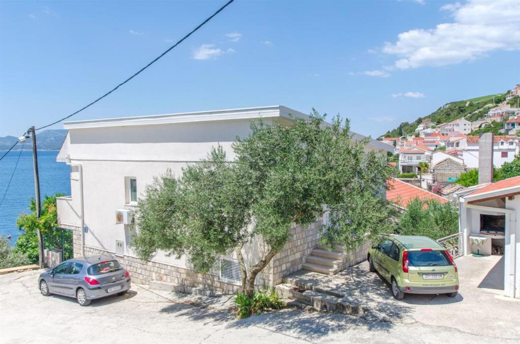 Príroda v okolí apartmánu