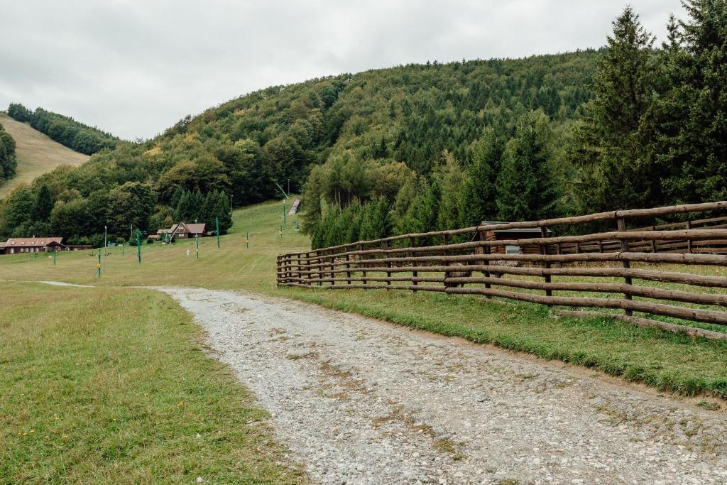 Príroda v okolí horskej chaty