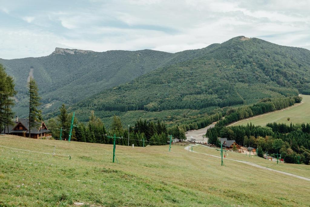 Príroda v okolí horskej chaty