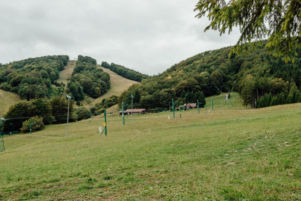 Príroda v okolí horskej chaty