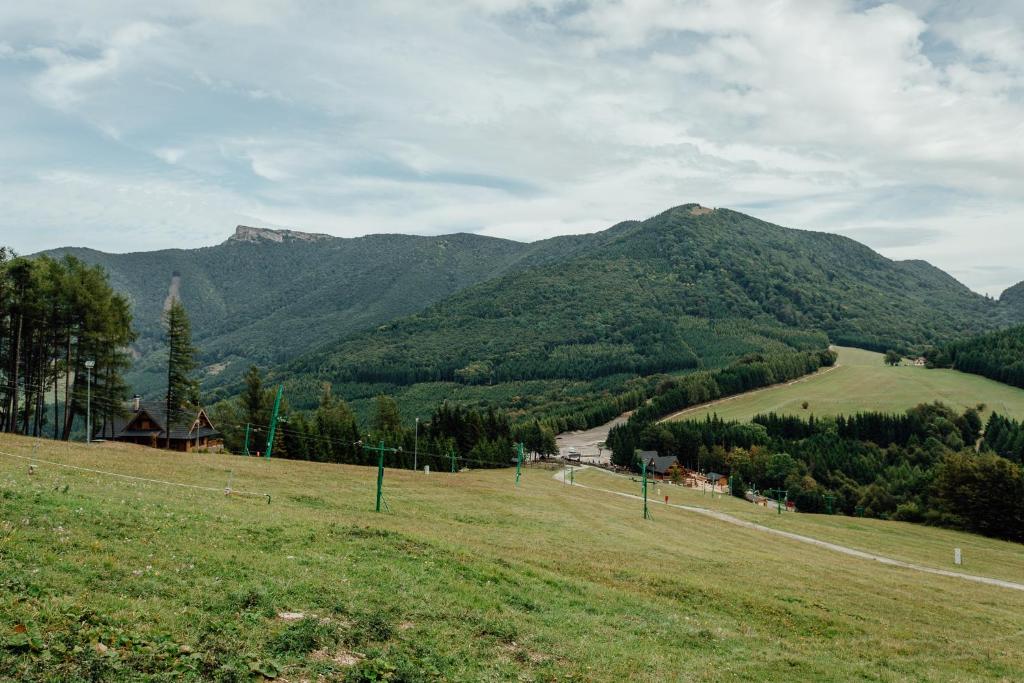Príroda v okolí horskej chaty
