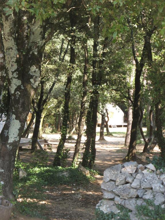 a row of trees with a stone wall in a park at Camping Mille Étoiles in Labastide-de-Virac