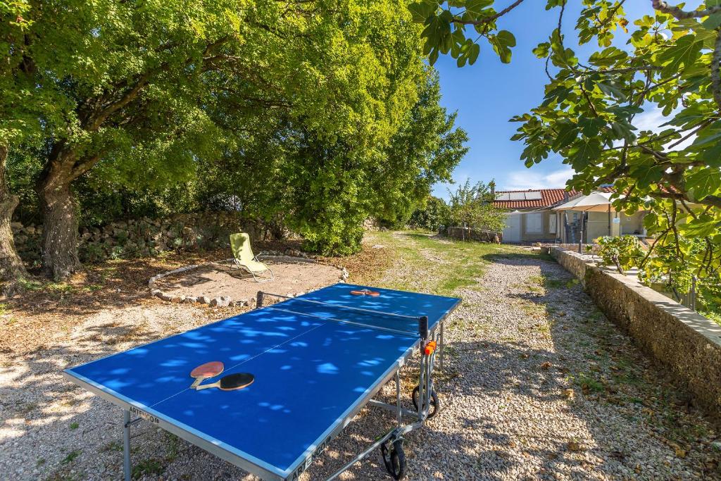 Stolný tenis v ubytovaní Holiday house TRSJA alebo v jeho okolí