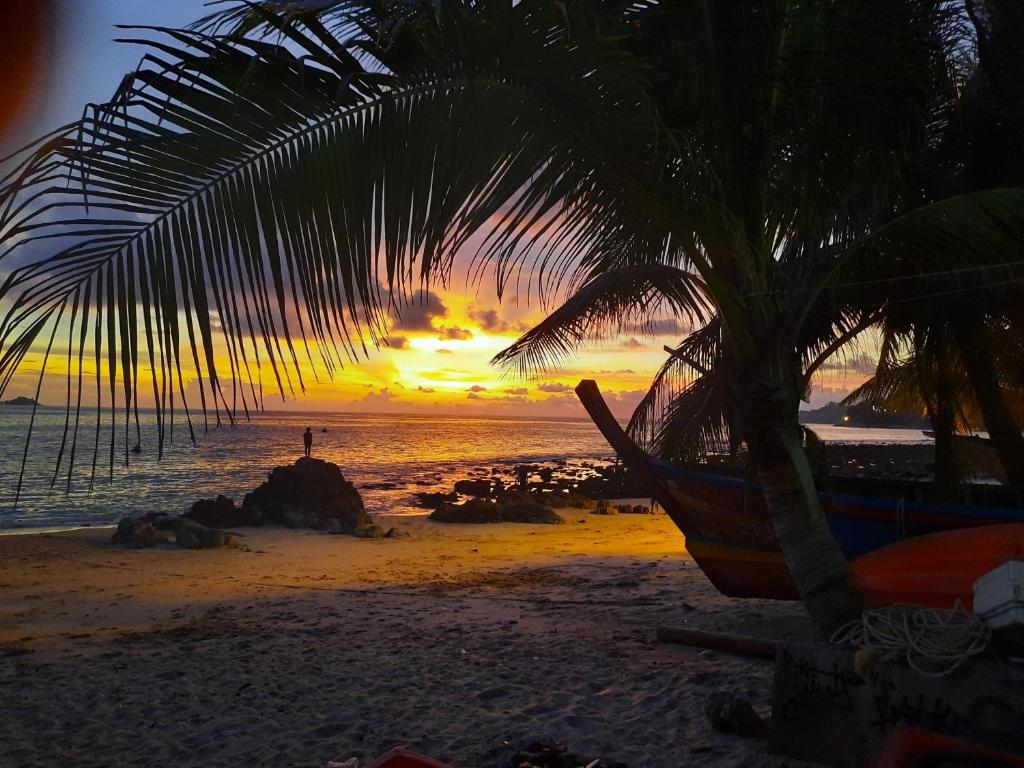 Ocean Rock Kalim - Resim 15