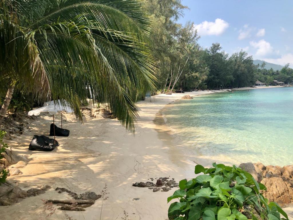 Coconut Beach Bungalows - 16