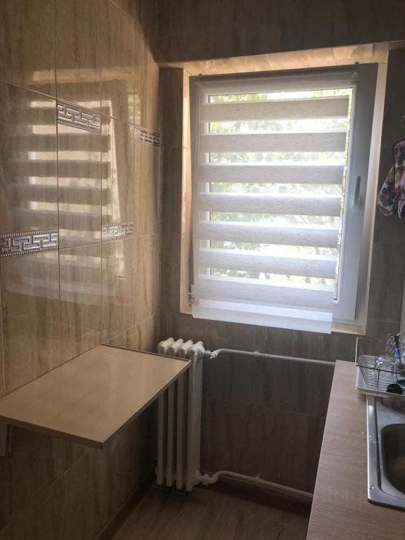 Kuchyň nebo kuchyňský kout v ubytování Hotel Taco