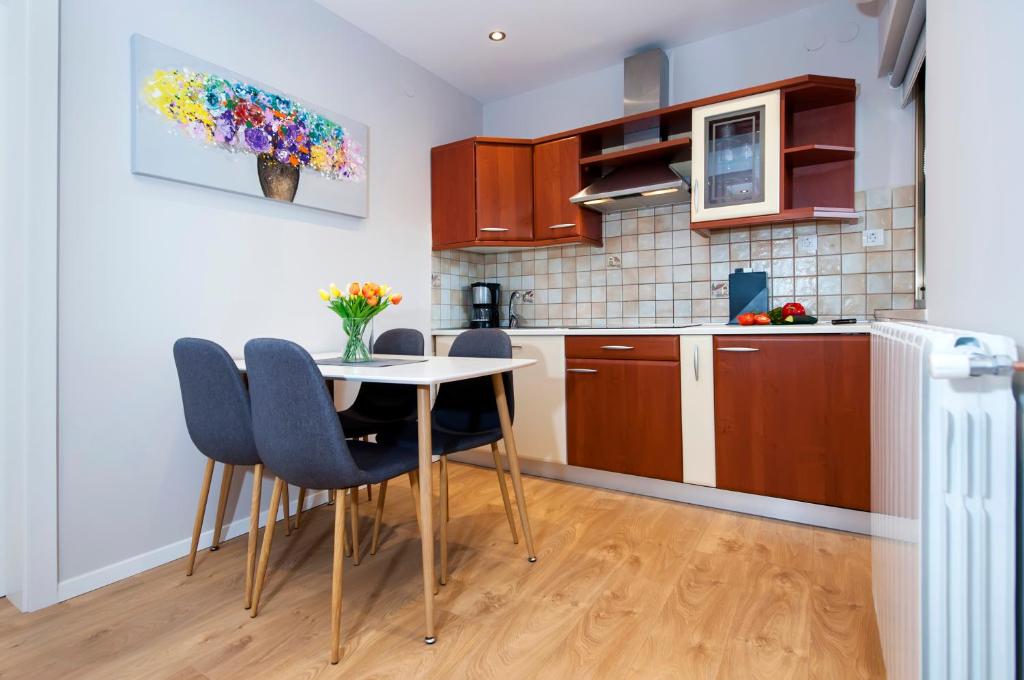 Kuchnia lub aneks kuchenny w obiekcie Apartments Modrušan
