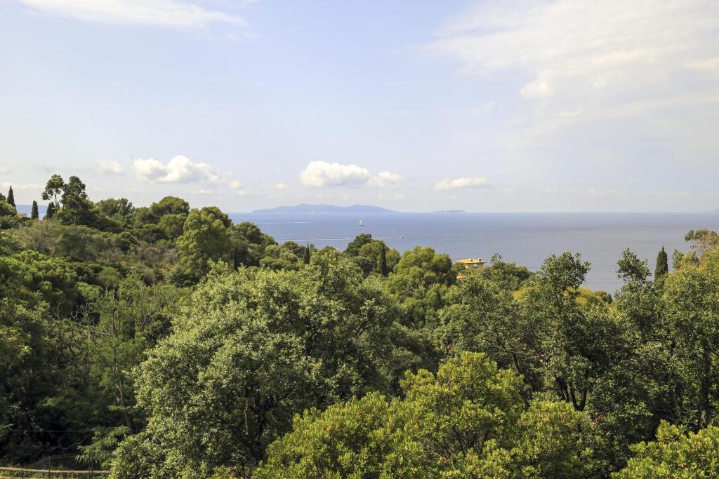 a view of the ocean from a hill with trees at L'Escapade in Rayol-Canadel-sur-Mer