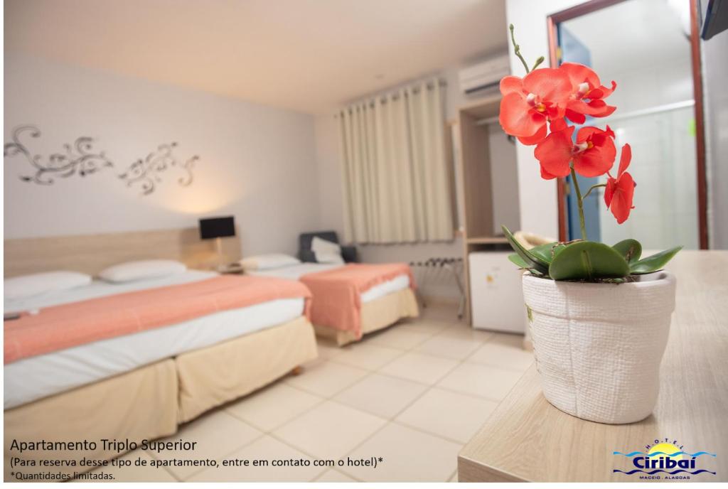  Hotel Ciribaí