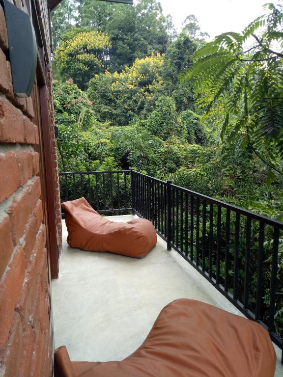 3Arch Eco Cottage Ella - 15