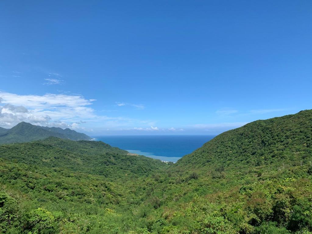 uma vista para o oceano a partir de uma montanha em Kin Shui Villa em Shuilian