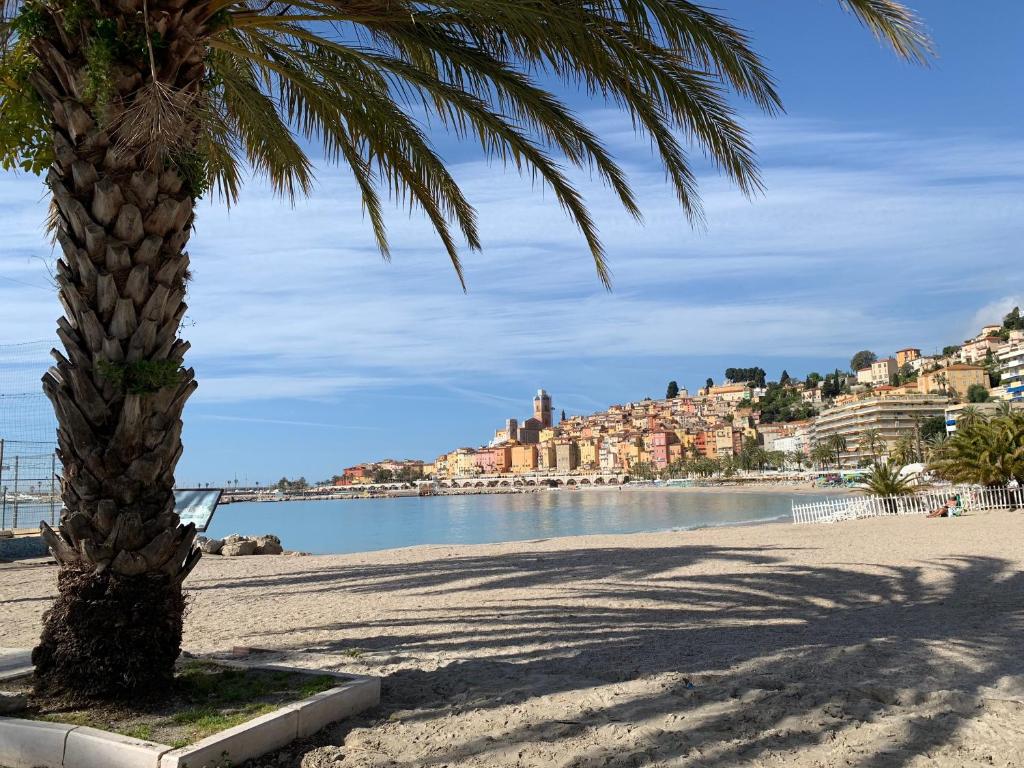 a palm tree on a sandy beach next to the water at Les Sablettes in Menton