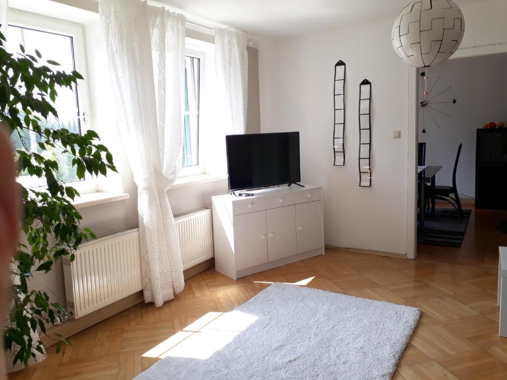 een woonkamer met een tv op een kast en een raam bij Abendrot in Bad Ischl