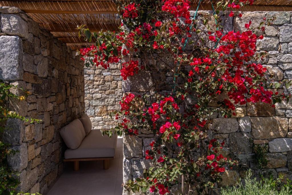 Zahrada ubytování Mykonos Drops