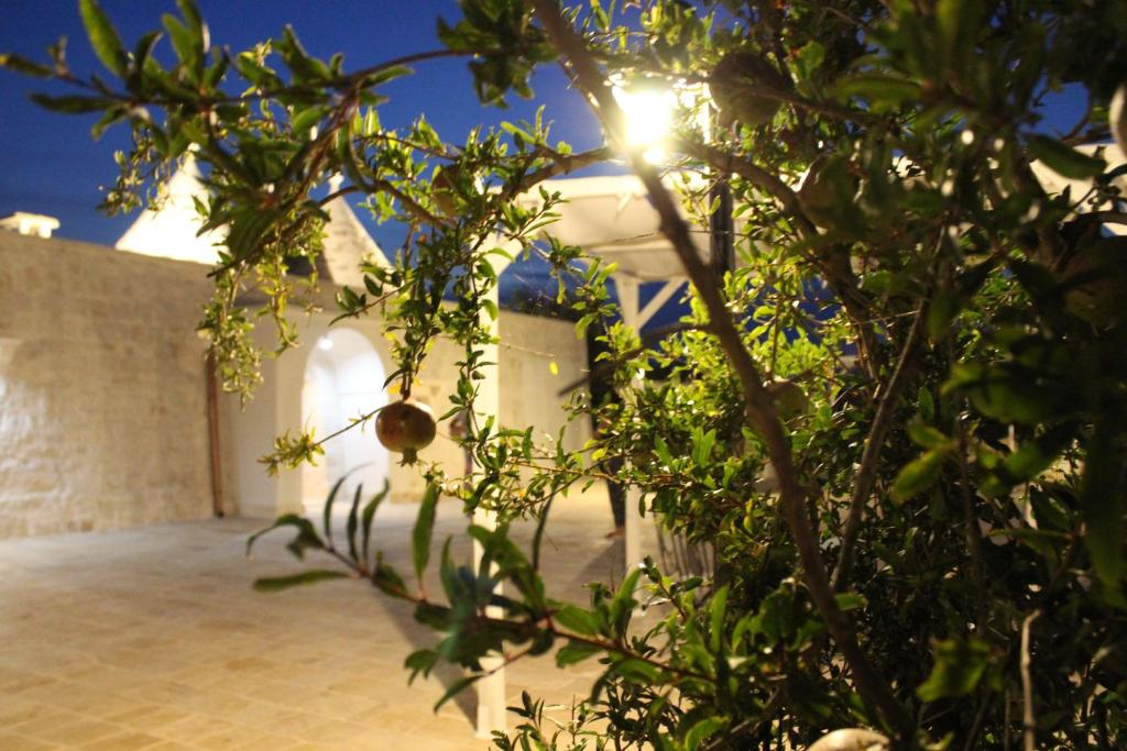 Ogród w obiekcie TRULLI COLIBRI'