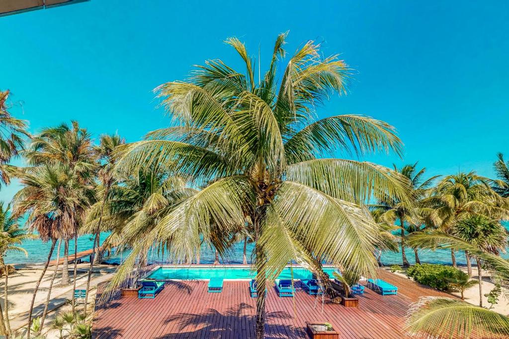 un palmier en face d'une piscine dans l'établissement Condo #23 @ Beachside Villas, à Placencia