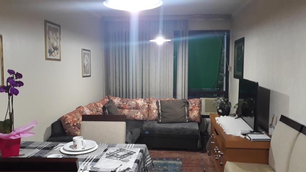 ein Wohnzimmer mit Sofa und Tisch in der Unterkunft Apartamento Familiar Com ou Sem Ar Condicionado in Porto Alegre