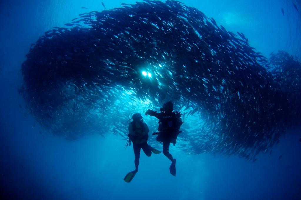 Hosté ubytování Borneo Divers Mabul Resort