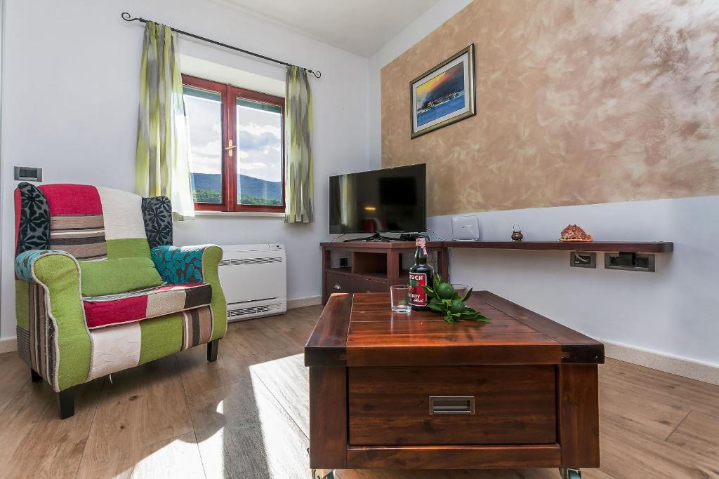 TV a/nebo společenská místnost v ubytování Villa Holiday home Zvecanje