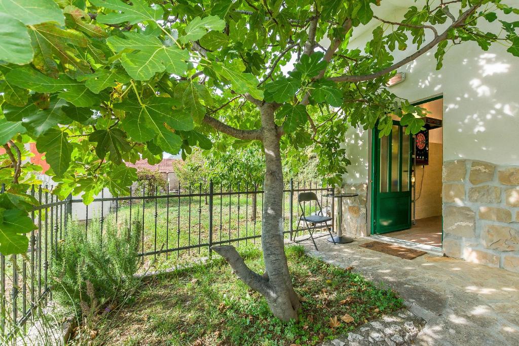 Zahrada ubytování Villa Holiday home Zvecanje