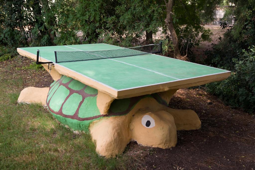 Stolní tenis v ubytování Zohar Badeshe nebo okolí