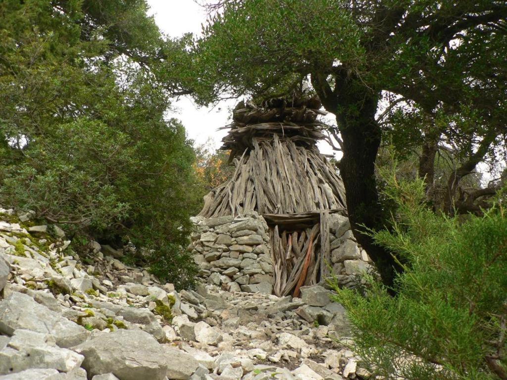 a small building on a rocky hill with a tree at Hotel Bia Maore in Baunei