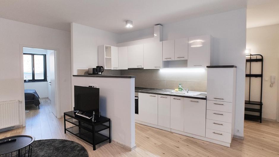 Kuchyň nebo kuchyňský kout v ubytování Piacsek Apartmanház