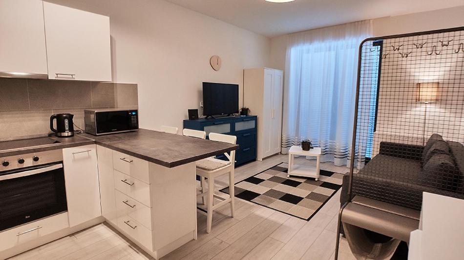 Kuchyň nebo kuchyňský kout v ubytování Piacsek Apartmanház