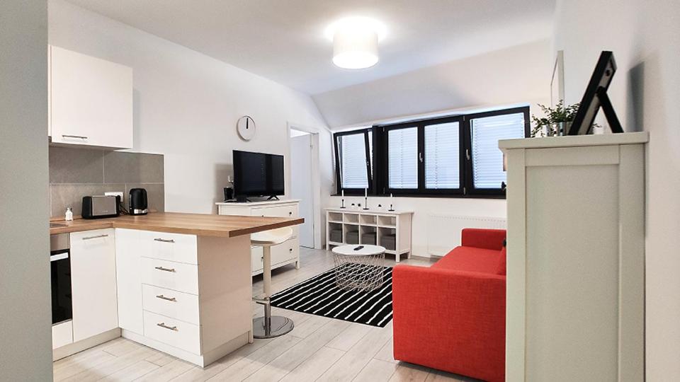 Kuchyň nebo kuchyňský kout v ubytování Piacsek Apartmanház