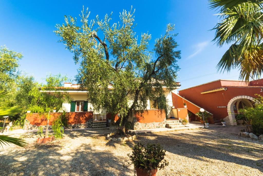 Zahrada ubytování B&B Uliveto del Gargano