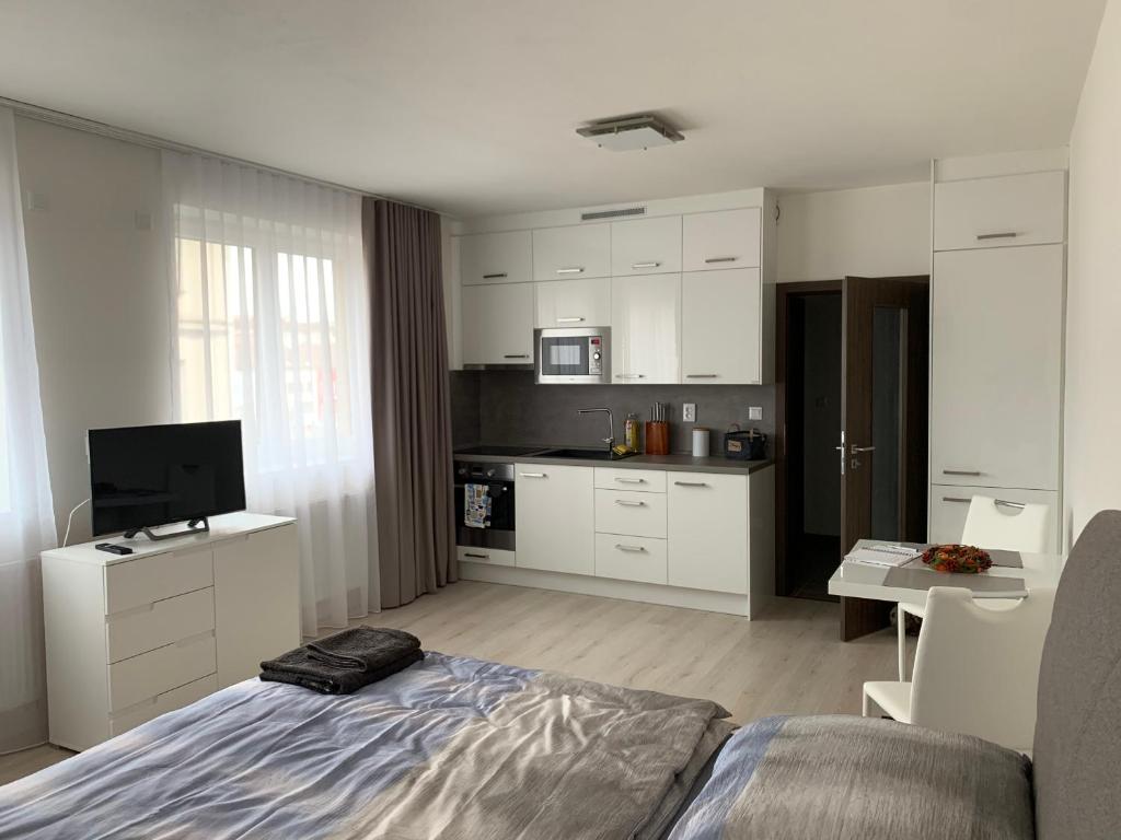 sala de estar con cama y cocina en Modern apartment in the city center, en Plzeň