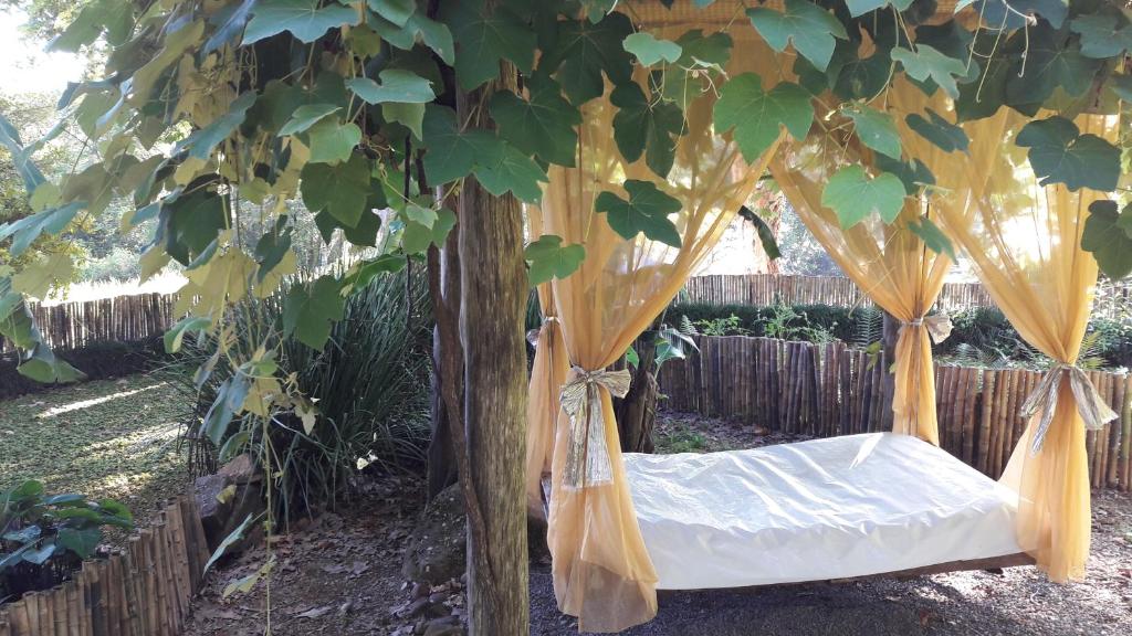 una cama colgada de un árbol en un jardín en Espaço Holístico Chalés, en Nova Petrópolis