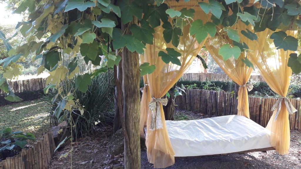 Um jardim em Espaço Holístico Chalés