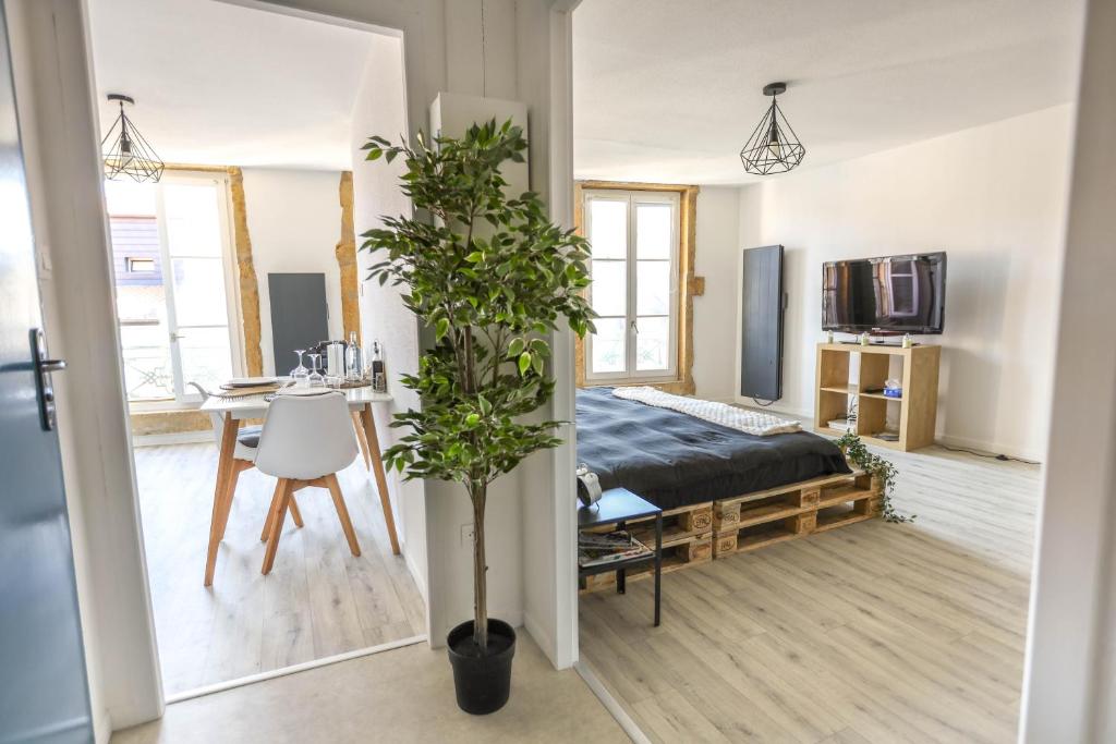 Grand Studio tout confort au cœur du centre ville - 一居室公寓