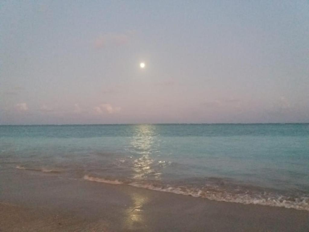 Maragogi Chalé Antunes  Maragogi Chalé Antunes