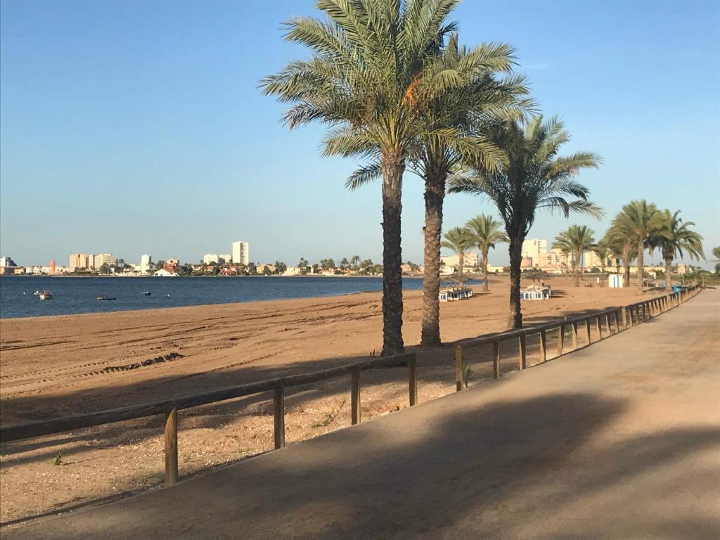 a sandy beach with palm trees and a fence at PLAYA PARAISO in Playa Honda