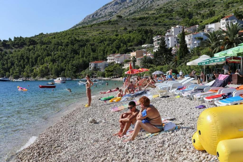 Príroda v okolí apartmánu