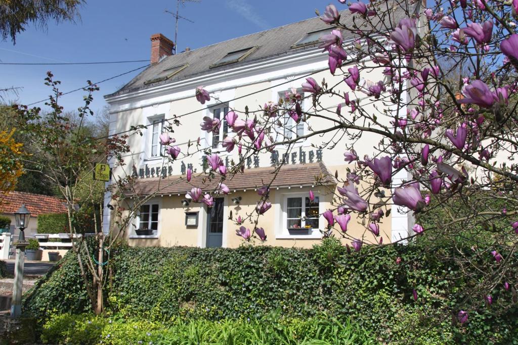 un magnolia devant une maison blanche dans l'établissement L'Auberge du Port des Roches, à Luché-Pringé