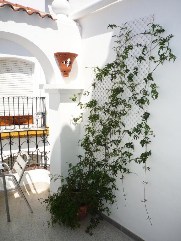 Balkón nebo terasa v ubytování Boutique Hostal "Casa Justa"