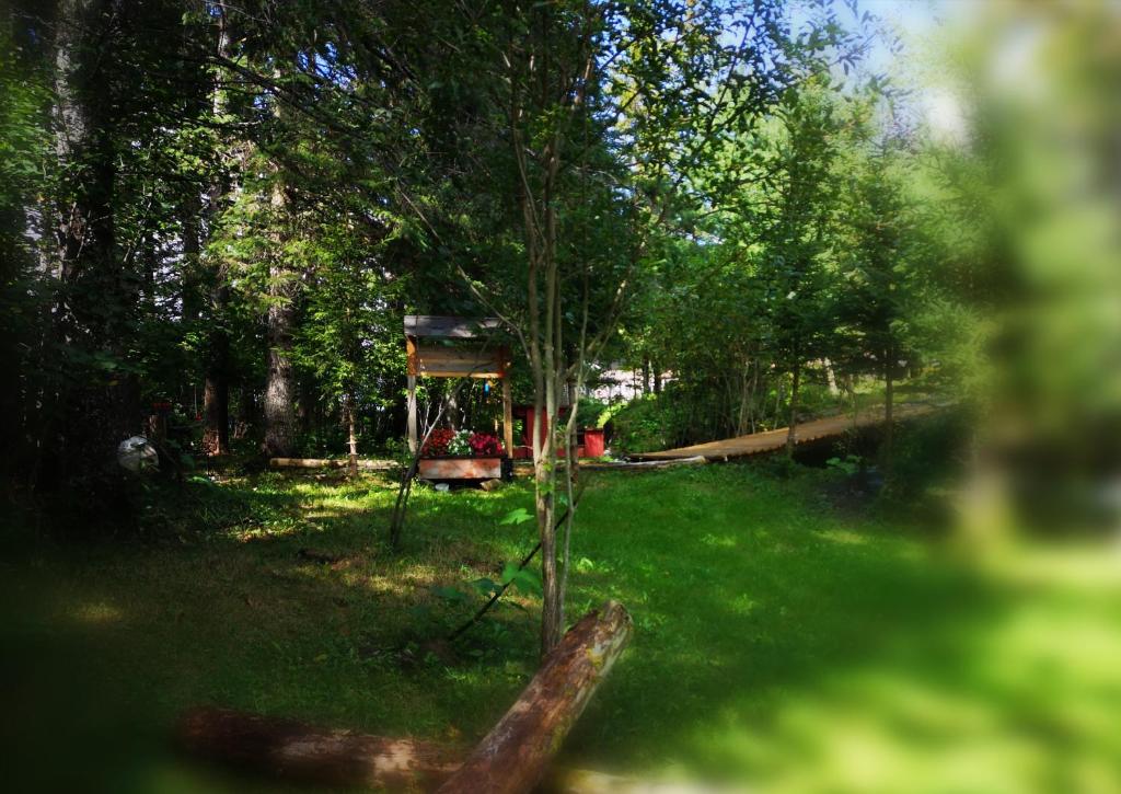 Zahrada ubytování Motel Alexandrin