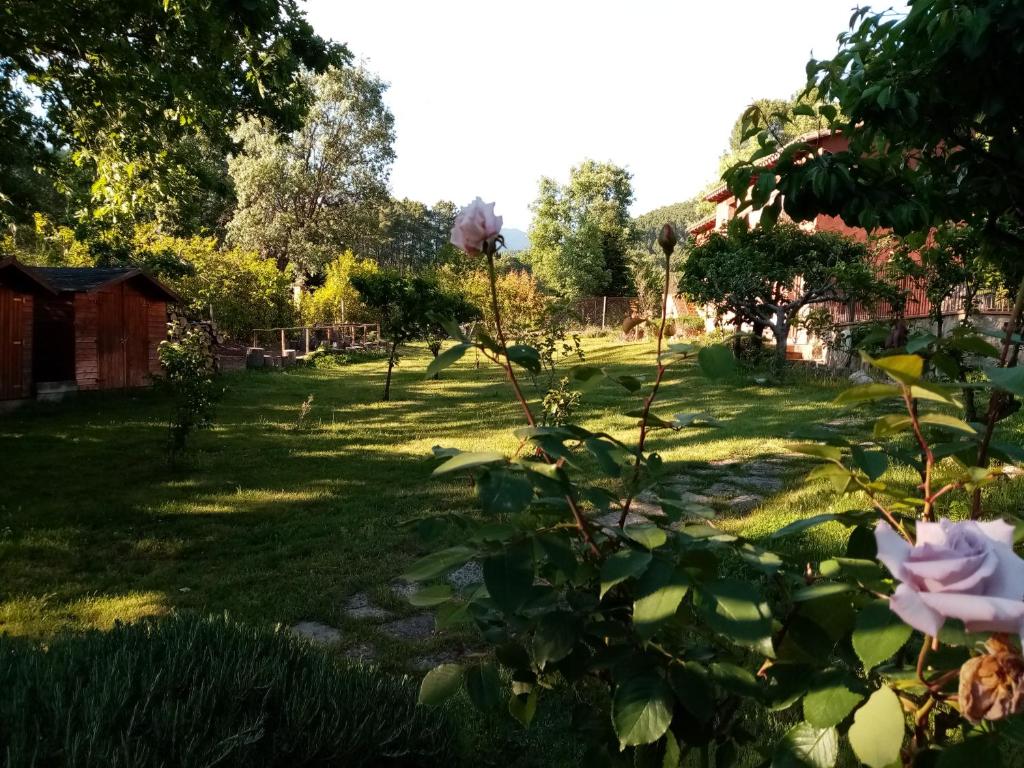 A garden outside Hotel Rural El Marquesito Antigua Casa Carmela