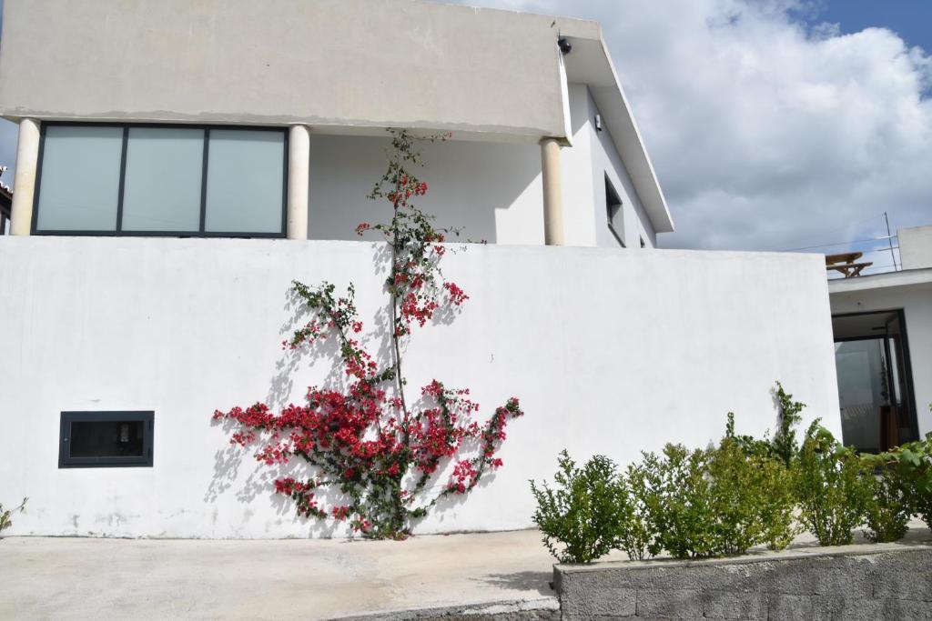 Casa das Buganvilias - 带露台的公寓