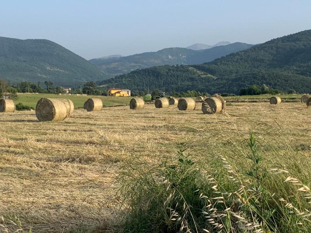 Paesaggio naturale nelle vicinanze del bed & breakfast