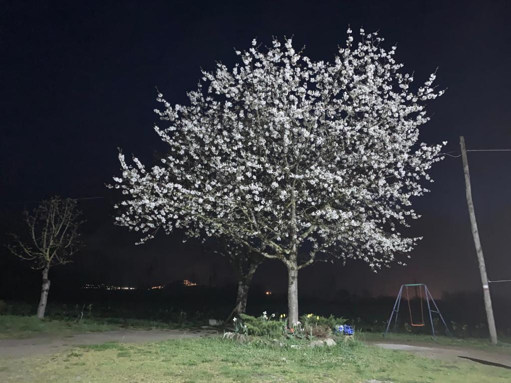 Giardino di B&B zio Domenico