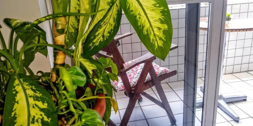  Apartamento Sa e Souza